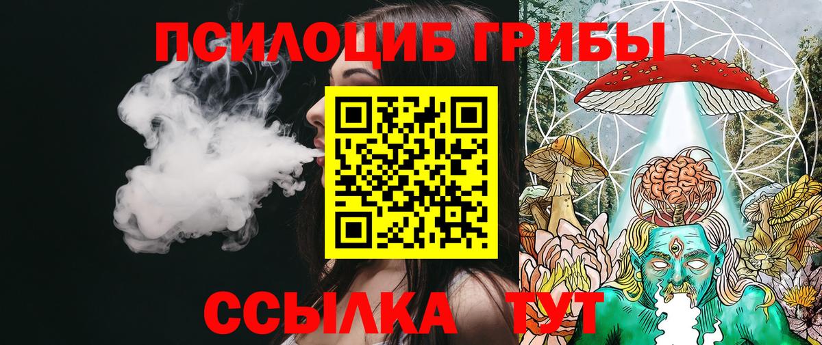 Псилоцибиновые грибы Cubensis Павлово