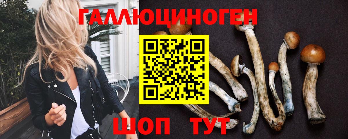 Павлово  Псилоцибиновые грибы Psilocybe  где можно купить   Вход с VPN 